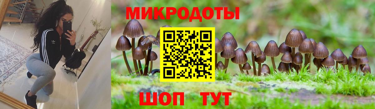 Галлюциногенные грибы мицелий Дагестанские Огни