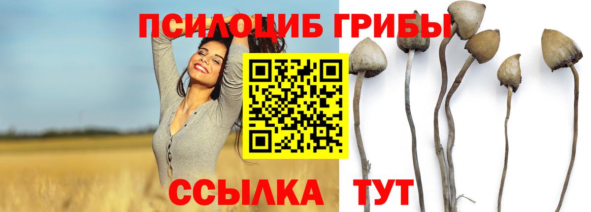 Псилоцибиновые грибы GOLDEN TEACHER  Вход с VPN  Дагестанские Огни 