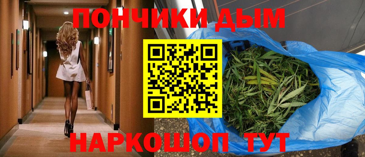 Бошки марихуана конопля Дагестанские Огни